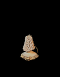 Hand carved morel mushroom keychain